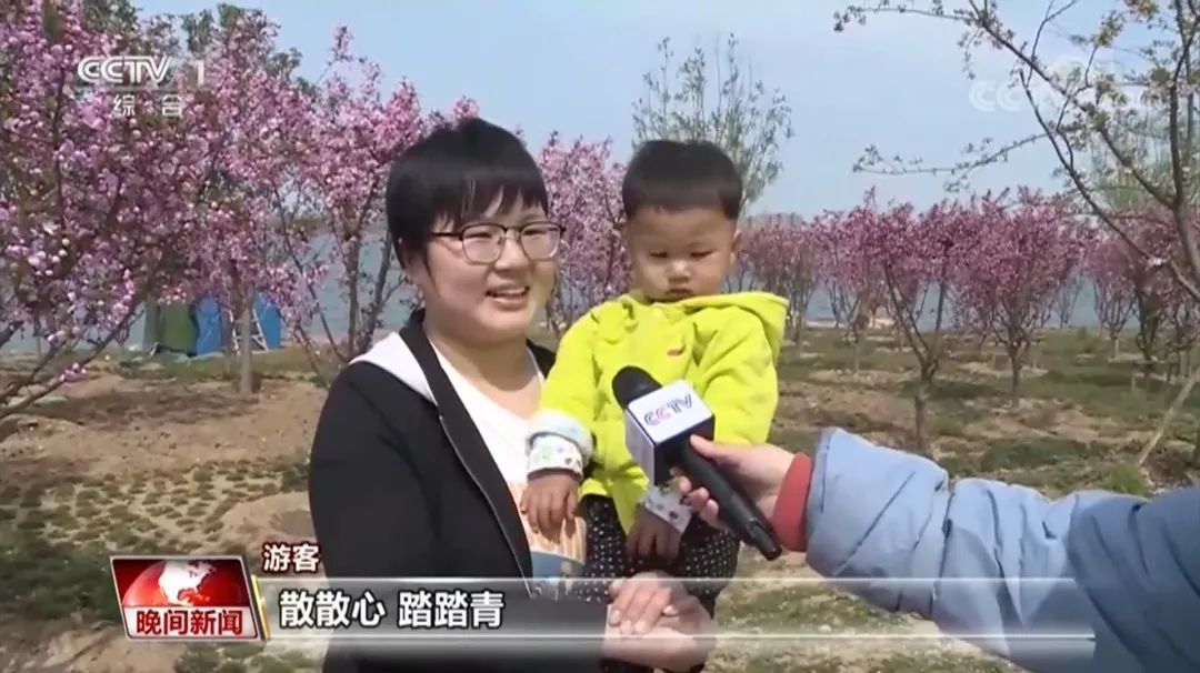 央视点赞北方最大梅园 | 东果博天参建的生态文明建设典范项目邢台园博园获央视一套好评报道