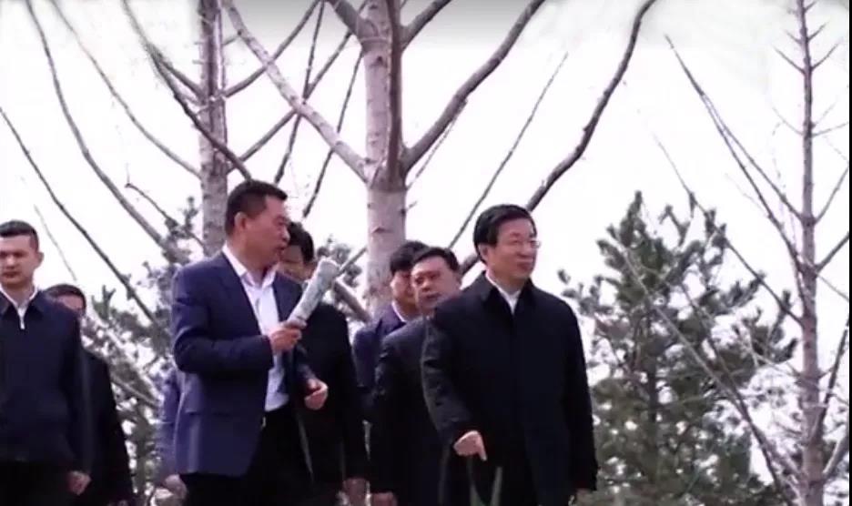 大放异彩 | 河北省省委书记、省人大常委会主任王东峰、副省长张古江调研邢台园博园