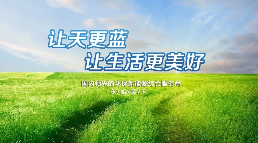 东果博天：前瞻性战略引领公司快速发展