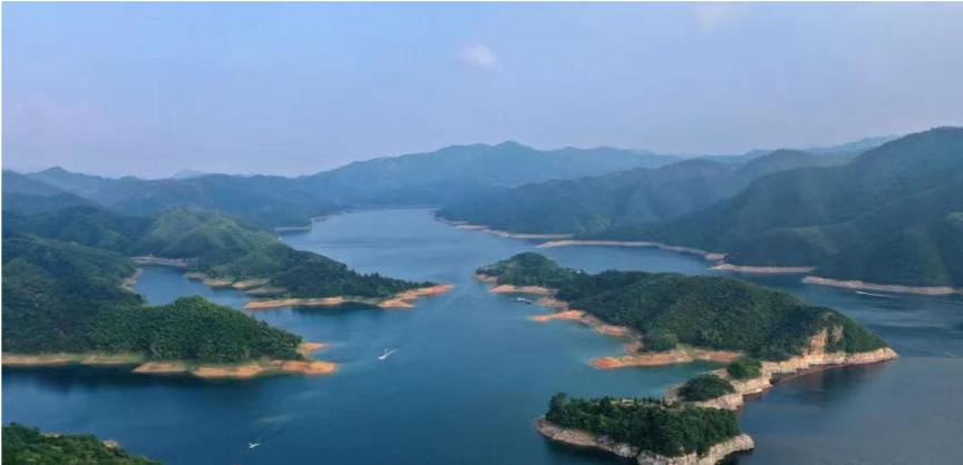 媒体报道 | 引领大别山油茶产业发展 东果博天为老区振兴添活力