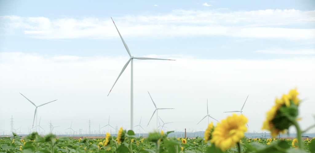 东果博天风光储氢算力一体化战略启航